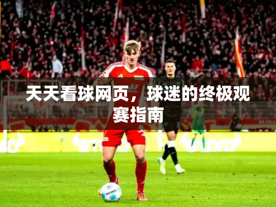 天天看球网页，球迷的终极观赛指南