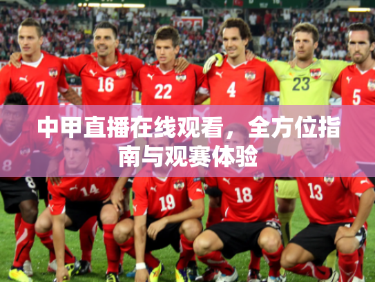 中甲直播在线观看，全方位指南与观赛体验