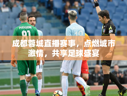 成都蓉城直播赛事，点燃城市激情，共享足球盛宴