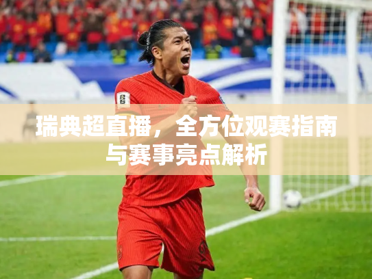 瑞典超直播，全方位观赛指南与赛事亮点解析