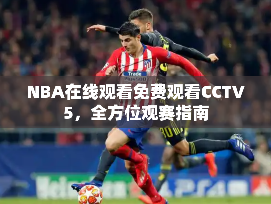NBA在线观看免费观看CCTV5，全方位观赛指南