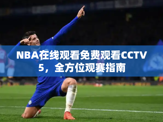 NBA在线观看免费观看CCTV5，全方位观赛指南