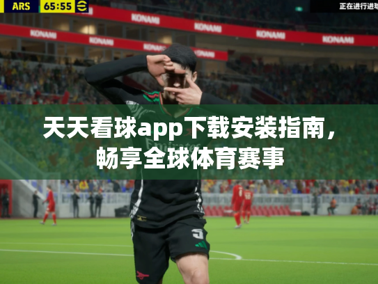 天天看球app下载安装指南，畅享全球体育赛事