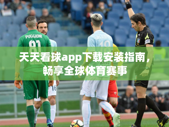 天天看球app下载安装指南，畅享全球体育赛事