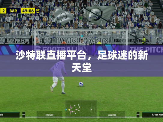 沙特联直播平台，足球迷的新天堂