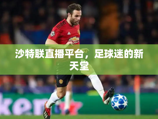 沙特联直播平台，足球迷的新天堂