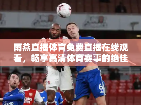 雨燕直播体育免费直播在线观看，畅享高清体育赛事的绝佳选择