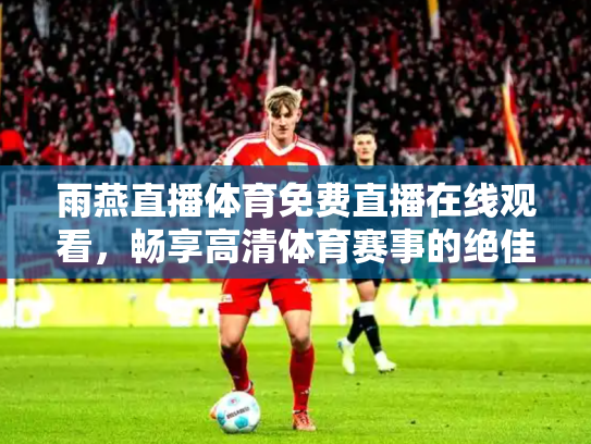 雨燕直播体育免费直播在线观看，畅享高清体育赛事的绝佳选择
