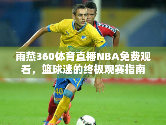 雨燕360体育直播NBA免费观看，篮球迷的终极观赛指南