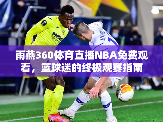 雨燕360体育直播NBA免费观看，篮球迷的终极观赛指南