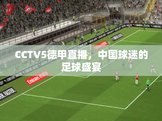 CCTV5德甲直播，中国球迷的足球盛宴