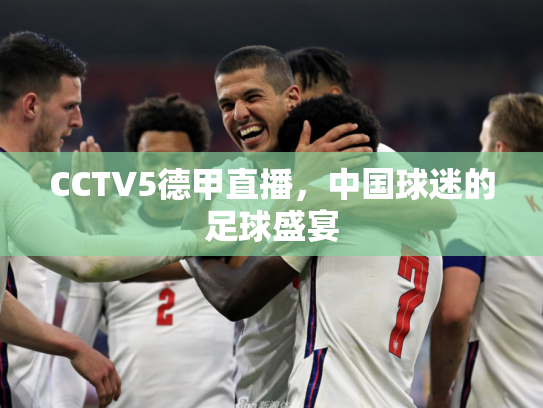 CCTV5德甲直播，中国球迷的足球盛宴