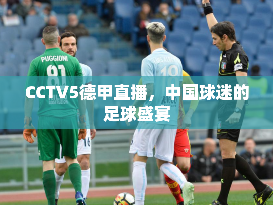 CCTV5德甲直播，中国球迷的足球盛宴