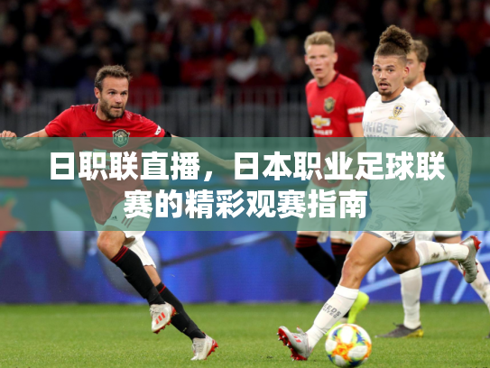日职联直播，日本职业足球联赛的精彩观赛指南