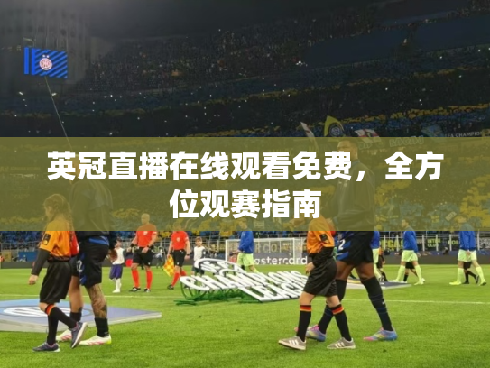 英冠直播在线观看免费，全方位观赛指南