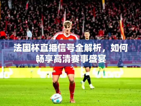 法国杯直播信号全解析，如何畅享高清赛事盛宴