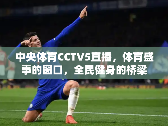 中央体育CCTV5直播，体育盛事的窗口，全民健身的桥梁