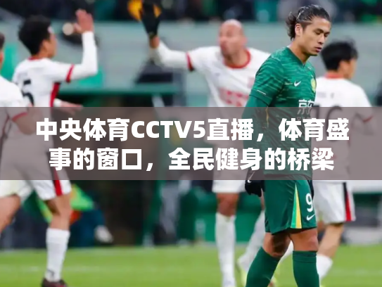 中央体育CCTV5直播，体育盛事的窗口，全民健身的桥梁