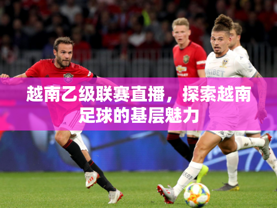 越南乙级联赛直播，探索越南足球的基层魅力