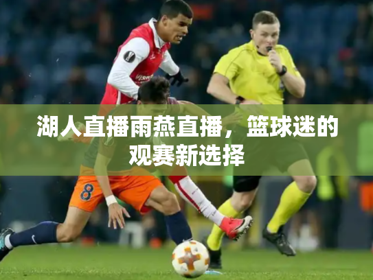 湖人直播雨燕直播，篮球迷的观赛新选择
