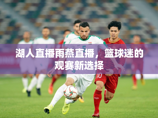 湖人直播雨燕直播，篮球迷的观赛新选择