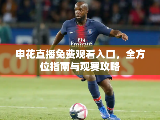 申花直播免费观看入口，全方位指南与观赛攻略