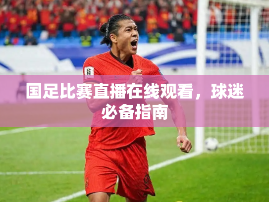 国足比赛直播在线观看，球迷必备指南