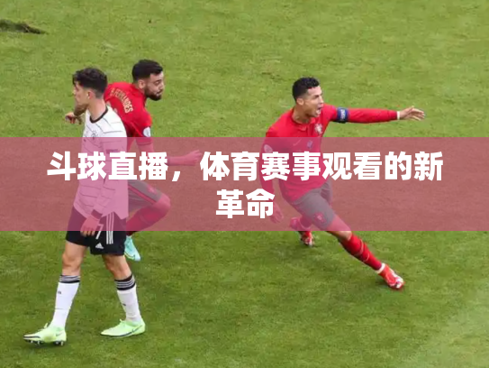 斗球直播，体育赛事观看的新革命