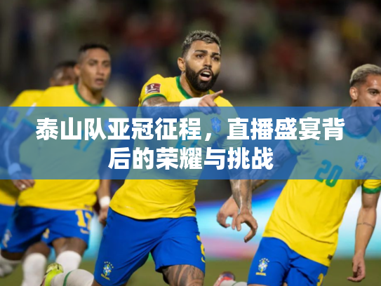 泰山队亚冠征程，直播盛宴背后的荣耀与挑战