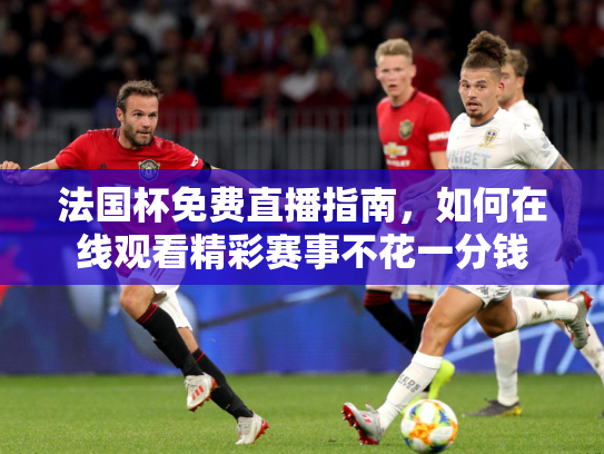 法国杯免费直播指南，如何在线观看精彩赛事不花一分钱