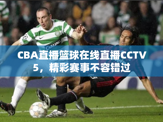CBA直播篮球在线直播CCTV5，精彩赛事不容错过