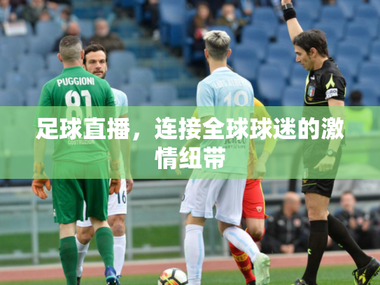 足球直播，连接全球球迷的激情纽带