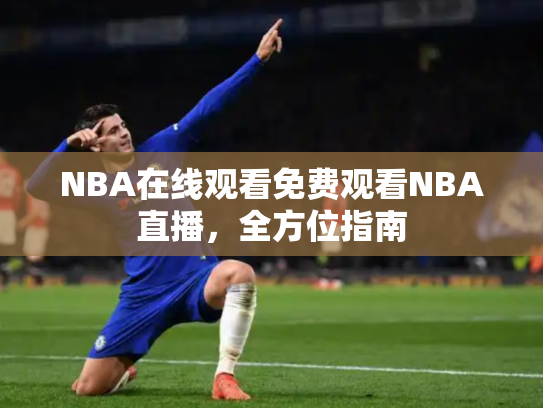 NBA在线观看免费观看NBA直播，全方位指南