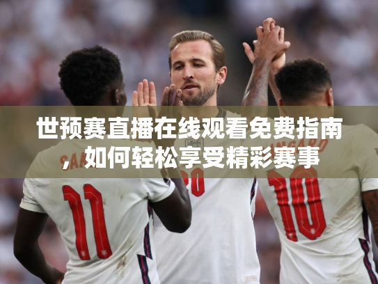 世预赛直播在线观看免费指南，如何轻松享受精彩赛事