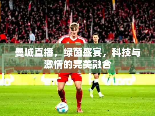 曼城直播，绿茵盛宴，科技与激情的完美融合