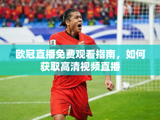欧冠直播免费观看指南，如何获取高清视频直播