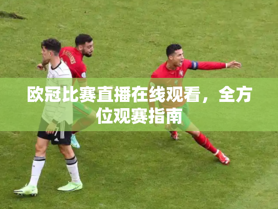 欧冠比赛直播在线观看，全方位观赛指南