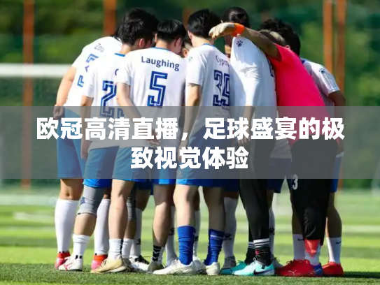 欧冠高清直播，足球盛宴的极致视觉体验