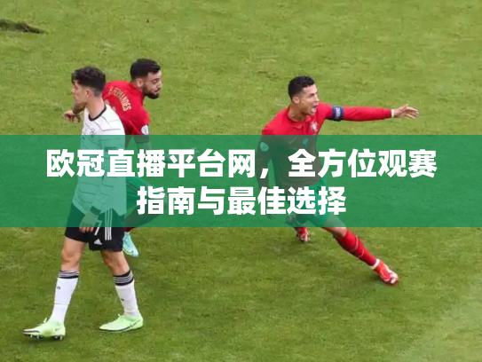 欧冠直播平台网，全方位观赛指南与最佳选择