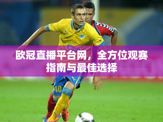 欧冠直播平台网，全方位观赛指南与最佳选择