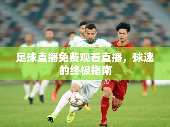 足球直播免费观看直播，球迷的终极指南