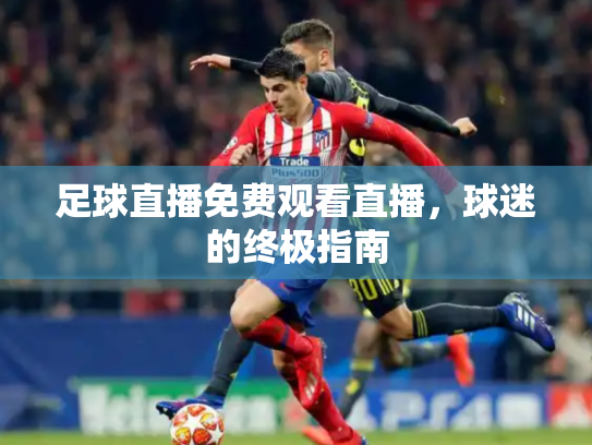 足球直播免费观看直播，球迷的终极指南
