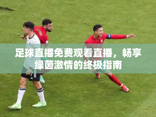 足球直播免费观看直播，畅享绿茵激情的终极指南