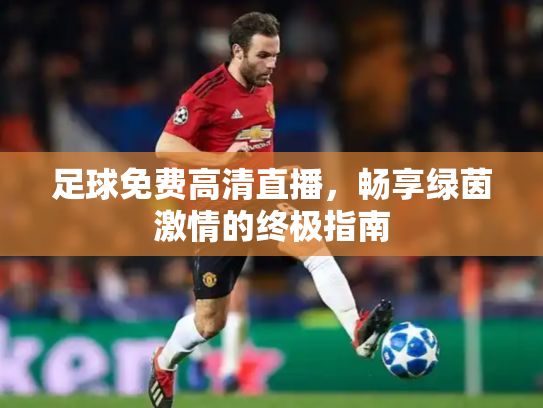 足球免费高清直播，畅享绿茵激情的终极指南