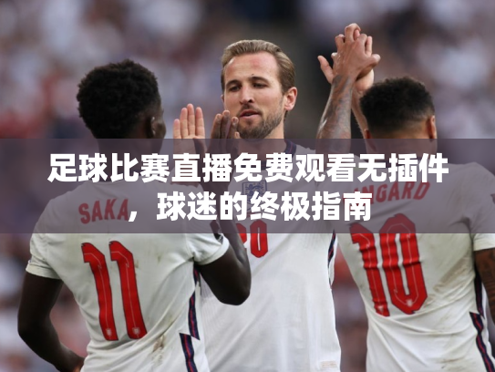 足球比赛直播免费观看无插件，球迷的终极指南