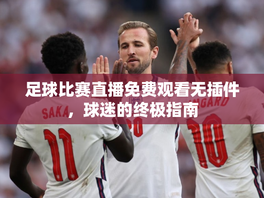 足球比赛直播免费观看无插件，球迷的终极指南