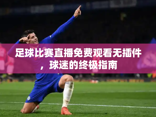 足球比赛直播免费观看无插件，球迷的终极指南
