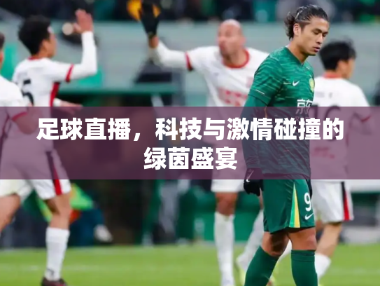足球直播，科技与激情碰撞的绿茵盛宴