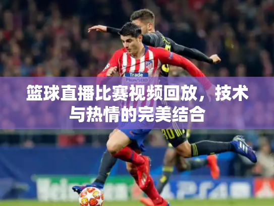 篮球直播比赛视频回放，技术与热情的完美结合