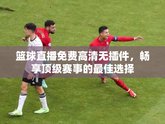 篮球直播免费高清无插件，畅享顶级赛事的最佳选择